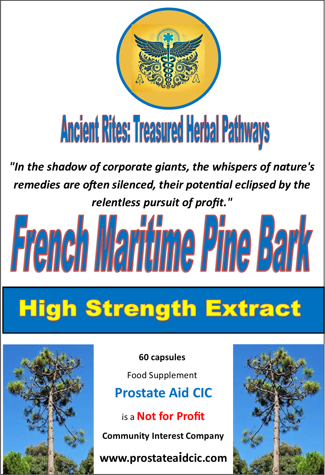 French Maritime Pine Bark Extract 60 Capsules