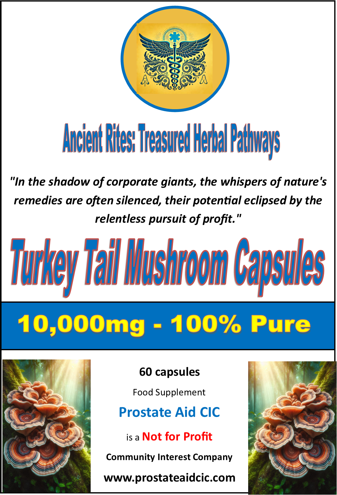 Turkey Tail Mushroom 60 Capsules