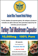 Turkey Tail Mushroom 60 Capsules